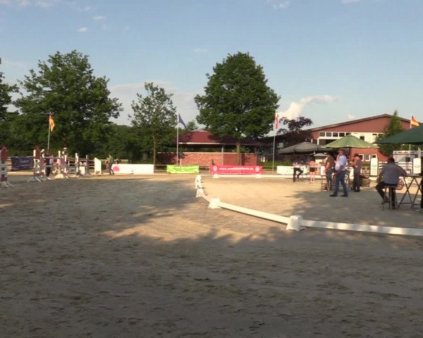 Sichtung zum Horse24-Fohlenchampionat 2023 in Münster-Albachten