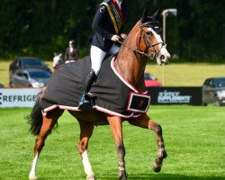 Springpferd Lola Caterina (KWPN (Niederländisches Warmblut), 2016, von Cohinoor VDL)