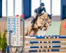 jumper Vanille 16 (German Riding Pony, 2018, from Coreggio)