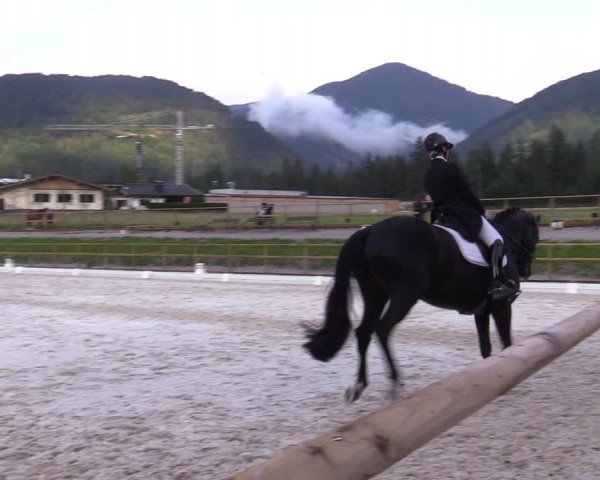 Reitturnier St. Ulrich am Pillersee 2023
