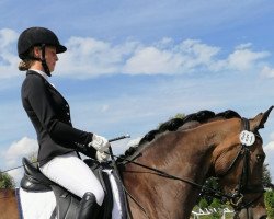 broodmare Show Lady 2 (Westphalian, 2004, from Show Star)