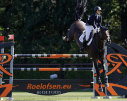 jumper Conquality (Oldenburg show jumper, 2012, from Conthargos)