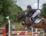 dressage horse La Lady (Irish Sport Horse, 2011, from Bertie)