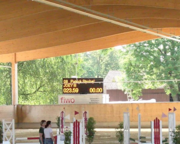 Reitturnier Dietikon 2023