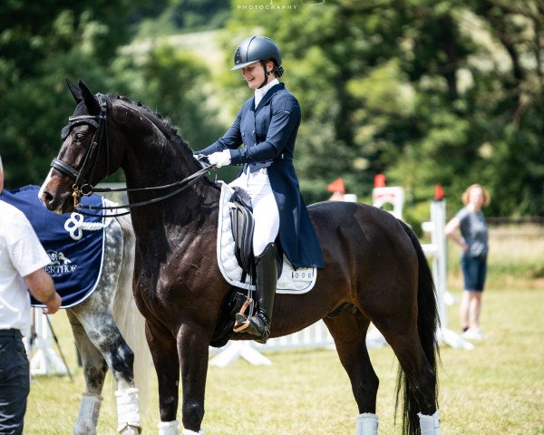 dressage horse Amaru F (Westphalian, 2014, from All At Once)