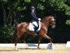 dressage horse Boston's Best (Westphalian, 2015, from Boston)