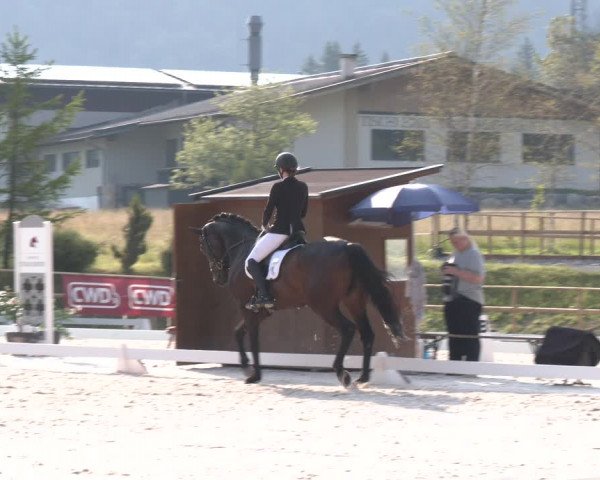 Reitturnier St. Ulrich am Pillersee 2023