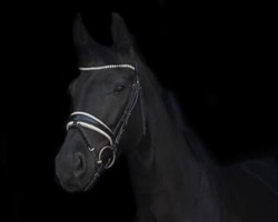 broodmare BreFood's Sweet Valentine (Danish Warmblood, 2015, from Sir Donnerhall I)