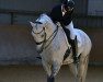 dressage horse de Phill (German Sport Horse, 2011, from De Champ OLD)