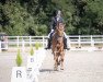 dressage horse Echt Gut S (Westphalian, 2017, from Escolar)