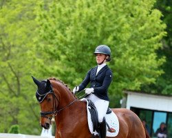 dressage horse Paula 620 (Oldenburg, 2015, from Bordeaux 28)