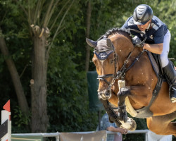 Springpferd Quarkbällchen 4 (Westfale, 2018, von Quasimodo vd Molendreef)