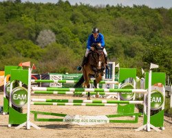 broodmare Joana (Holsteiner, 2016, from Casall)