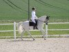 horse Jampion Von Der Wart (Austrian Warmblood, 2006, from Jamp of Class)