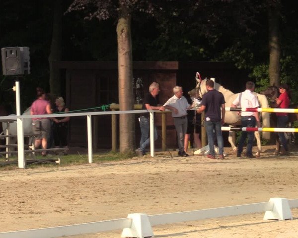 Sichtung zum Horse24-Fohlenchampionat 2023 in Fröndenberg