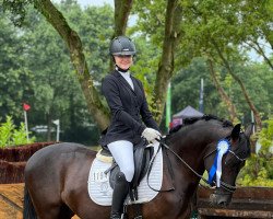 dressage horse D-Jay Vdh (German Riding Pony, 2017, from Dating AT NRW)