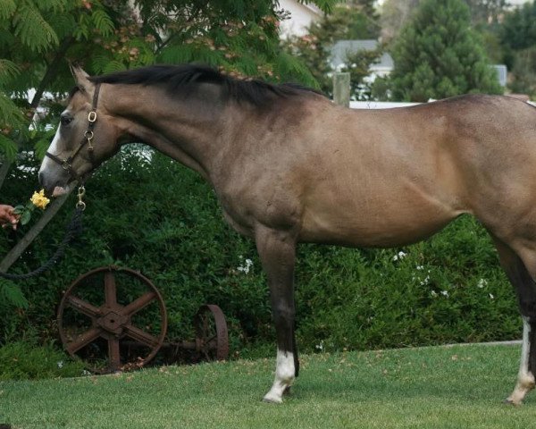 broodmare Tahitian Moon xx (Thoroughbred, 2005, from Guaranteed Gold xx)