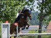 jumper La Hilda K (German Sport Horse, 2016, from Hinault)