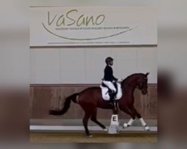dressage horse Femme Jolie Ag (Hanoverian, 2018, from Fürsten-Look)