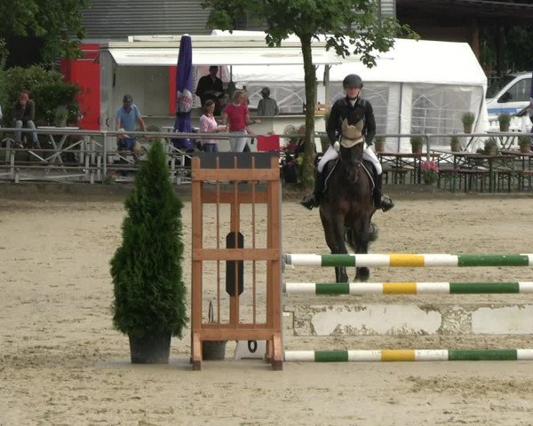 Reitturnier Schwerte 2023