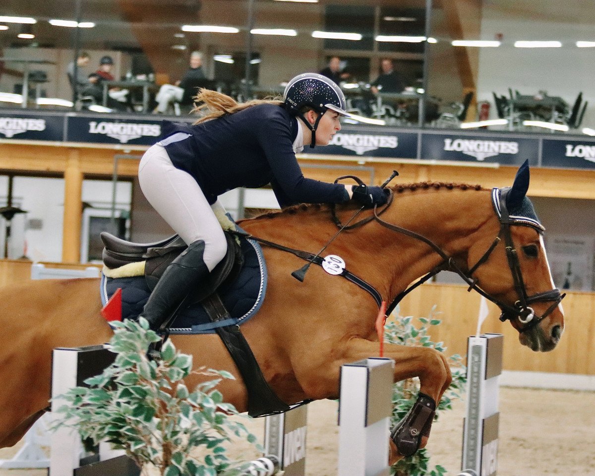 jumper Cash And Go 6 (Oldenburg, 2008, from Check In 2)