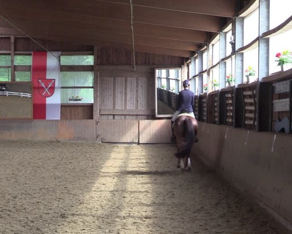 Reitturnier Schwerte 2023
