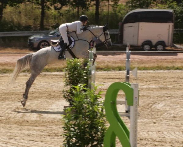 Reitturnier Heiligenwald 2023