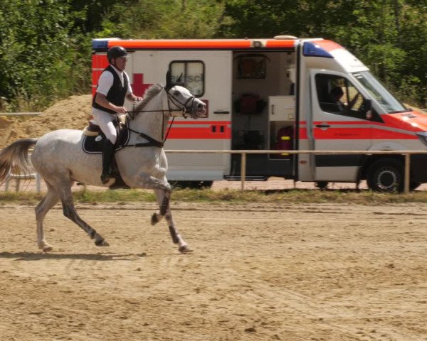 Reitturnier Heiligenwald 2023