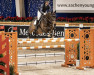 jumper Libertyhill 4 (Austrian Warmblood, 2010, from Lorenzo-B)