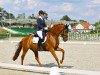 dressage horse Just Unique W (Oldenburg, 2016, from Glock's Johnson Tn)