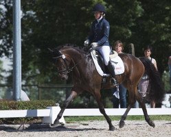 dressage horse Beetlejuice ZGE (German Riding Pony, 2013, from Bazooka)