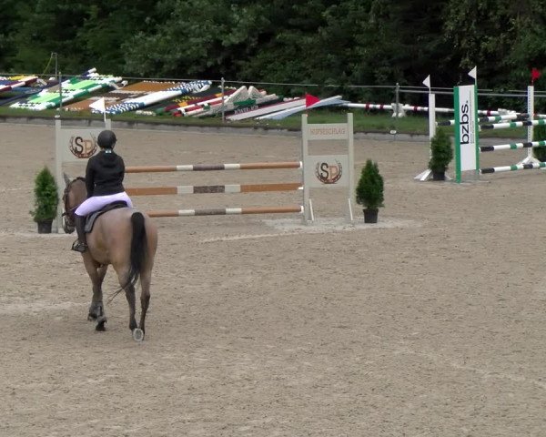 Reitturnier Maienfeld 2023