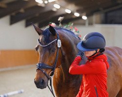 dressage horse Westrades Barack Obama (KWPN (Royal Dutch Sporthorse), 2006, from Jazz)