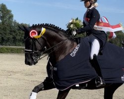 dressage horse Belle 50 (Hanoverian, 2013, from Beltano)