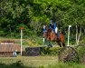 jumper Ready To Go 10 (Oldenburg, 2010, from Chin Quin)