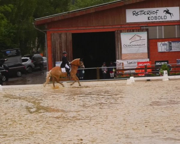 Reitturnier Uder, Reitanlage Kobold 2023