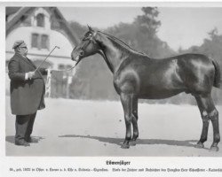 Deckhengst Löwenjäger (Trakehner, 1922, von Loewe)