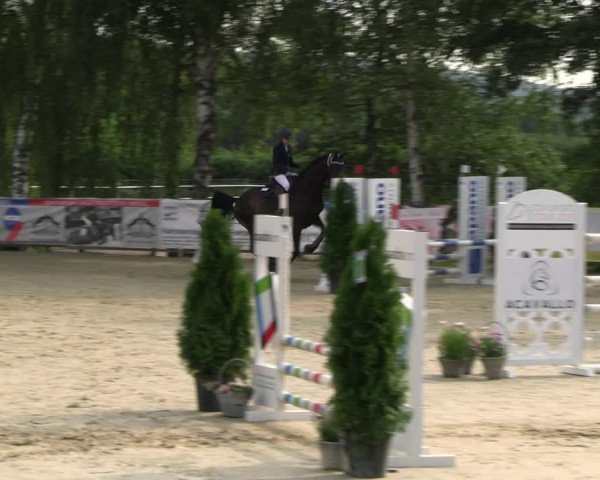 Reitturnier Schwerte 2023