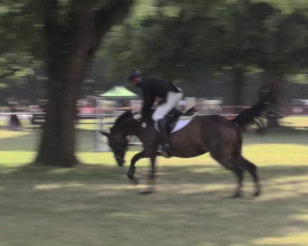 Reitturnier Schwittersdorf-Beesenstedt 2023