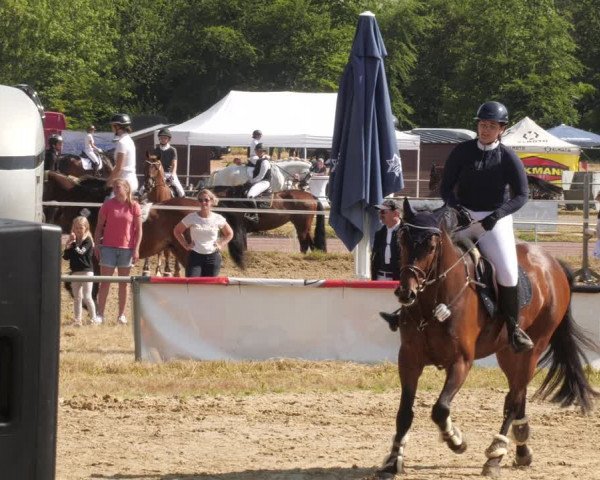 Reitturnier Heiligenwald 2023