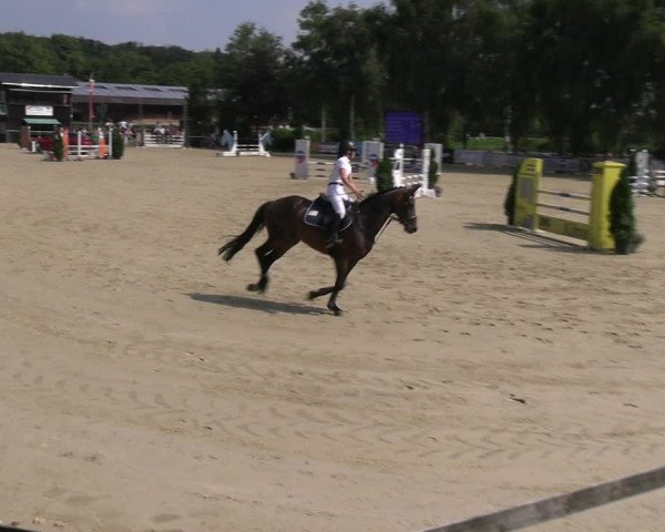 Reitturnier Schwerte 2023