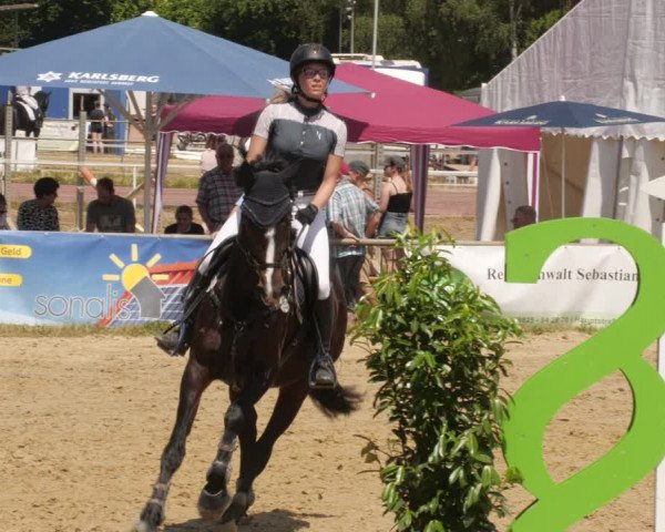 Reitturnier Heiligenwald 2023
