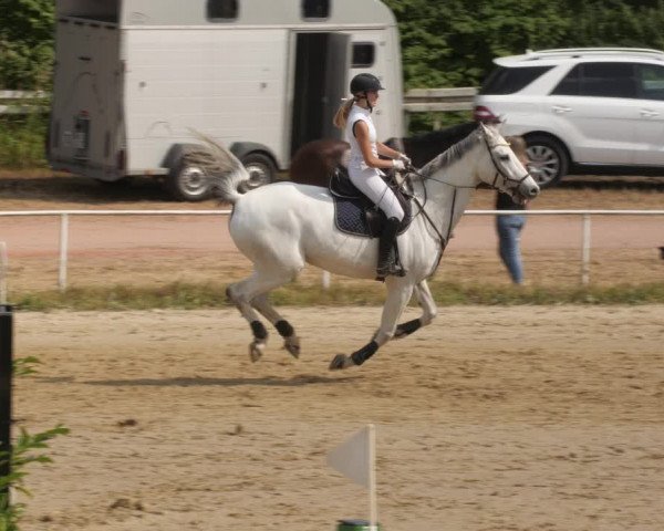 Reitturnier Heiligenwald 2023