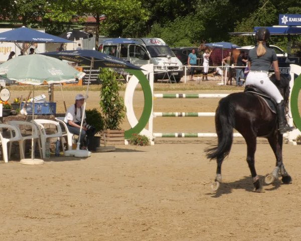 Reitturnier Heiligenwald 2023