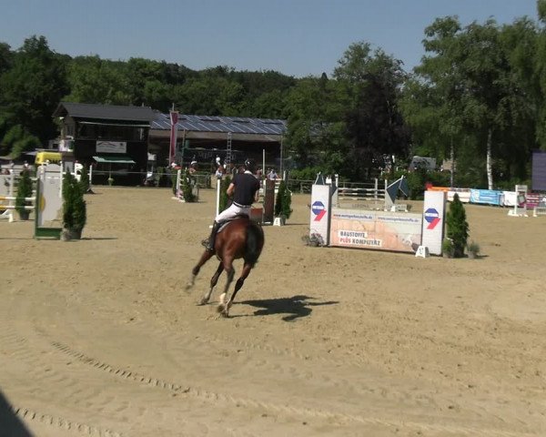 Reitturnier Schwerte 2023