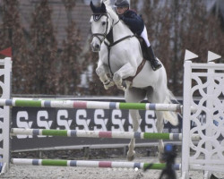 jumper Lancaster 192 (German Sport Horse, 2010, from Levkoi)