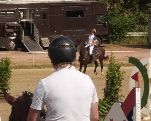 Reitturnier Heiligenwald 2023