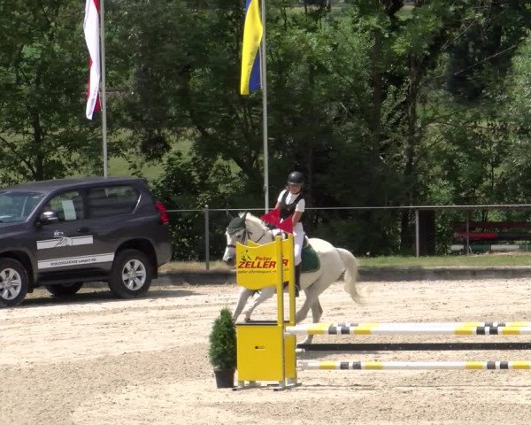 Reitturnier Maienfeld 2023