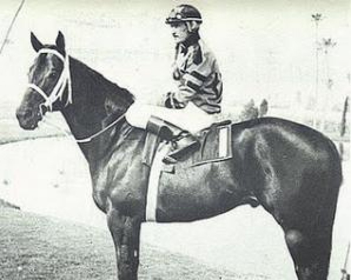 stallion Timeto Thinkrich (Quarter Horse,  , from Aforethought)