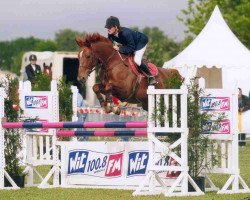 broodmare Herbe de Bneville (Selle Français, 1995, from Apache d'Adriers)